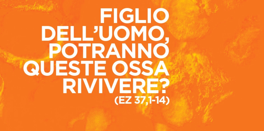 Per continuare il dialogo tra ebrei e cristiani cattolici